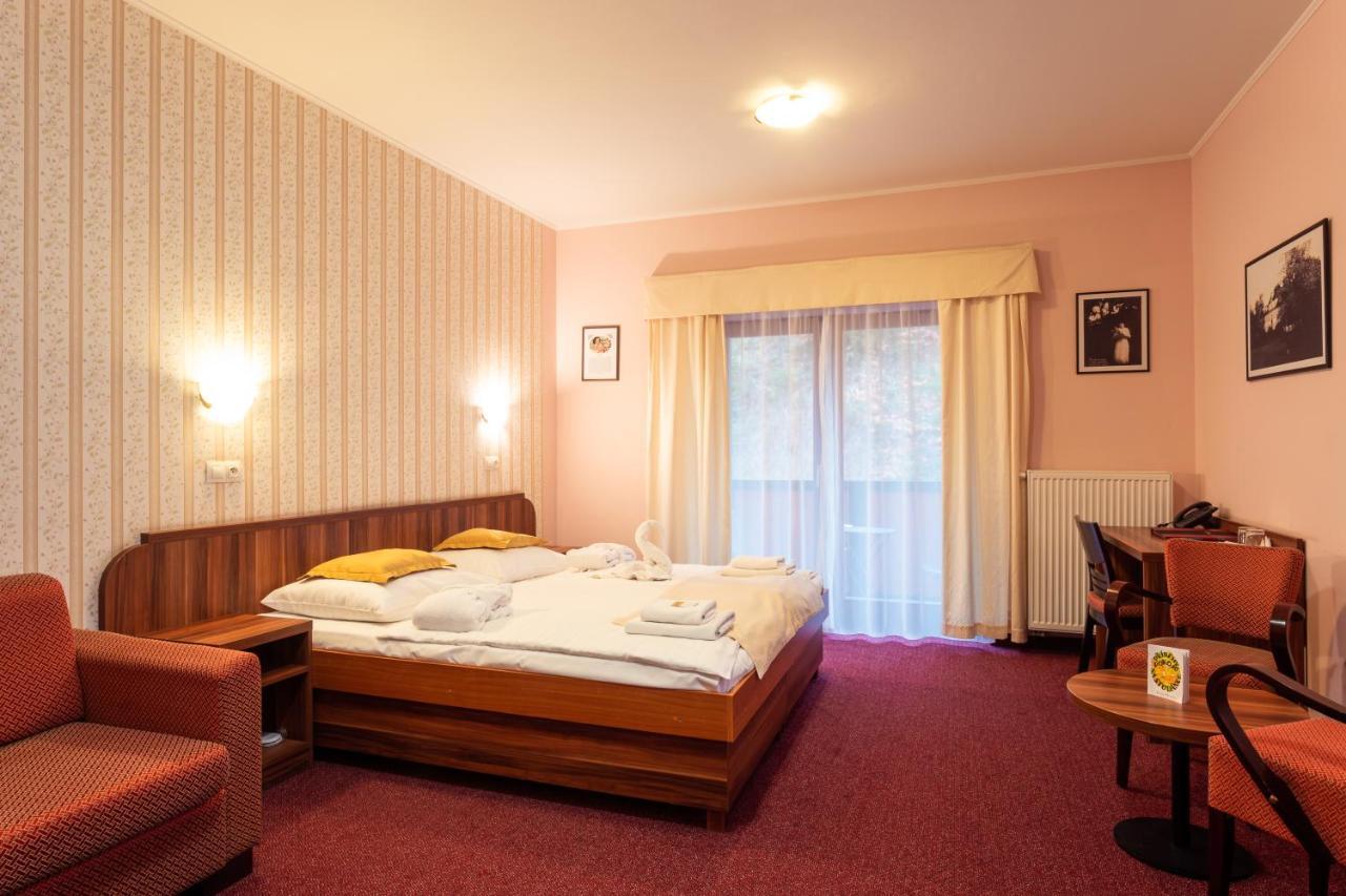 Hotel Studanka Rychnov nad Kneznou Bagian luar foto